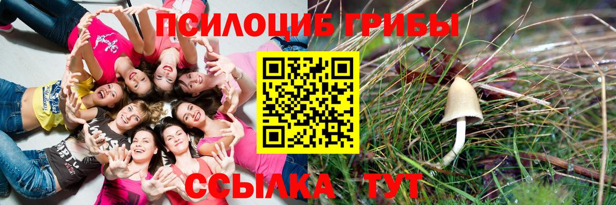 Псилоцибиновые грибы мухоморы  Вход с VPN  Зима 