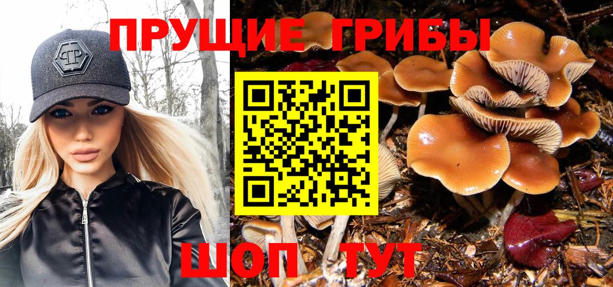 Псилоцибиновые грибы GOLDEN TEACHER Зима